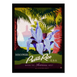Discover Puerto Rico U.S.A. Post Card