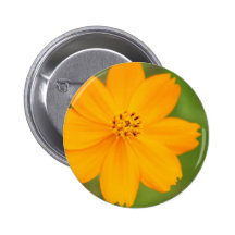 Diversos Flor amarela Button