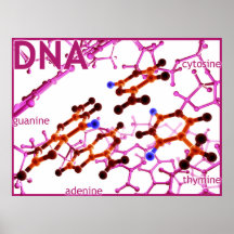 DNA Bases Large Canvas Print