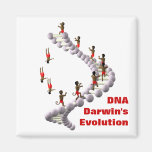 DNA Darwin's Evolution Fridge Magnets