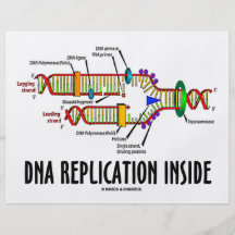 DNA Replication Inside (DNA Attitude) Flyer Design