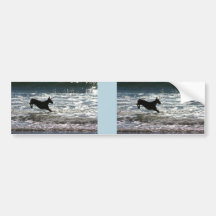 Doberman - Black - Ocean Leap Bumper Sticker