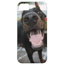 Doberman Dog Nose iPhone 5 Case