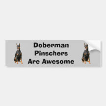 Doberman Pinscher Bumper Sticker