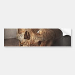 Doctor - Exam cheat sheet Bumper Sticker