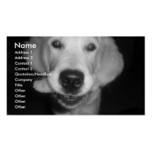 Dog and Cat Business Card Template