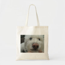 Dog Bag