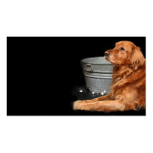 Dog bath business cards
