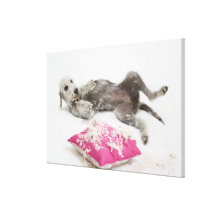 Dog behaviour training canvas prints