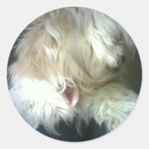 Dog Card Round Sticker