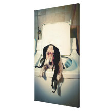 Dog helping out with the wash canvas print