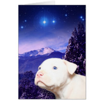 Dog is God spelled backwards... Greeting Card