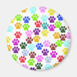 Dog Paws Trails Pawprints Red Blue Green Yellow Fridge Magnet