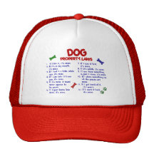 DOG Property Laws 2 Hat