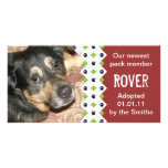 Dog/Puppy Adoption Announcement Picture Card