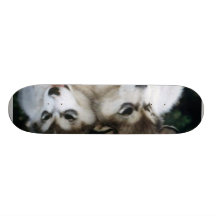 Dog Puppy Board Skate Board