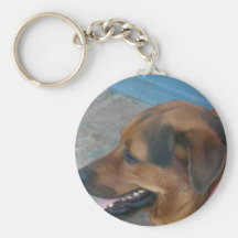 Dog relaxing keychains