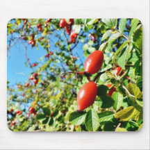 Dog Rose Hips Mouse Pads