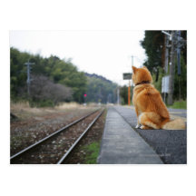 Dog sitting on train station post cards