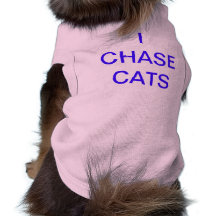 dog sweater with saying i chase cats dog tee shirt