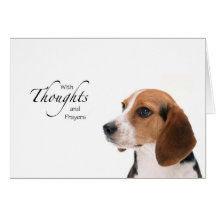 Dog Thoughts and Prayers Cards