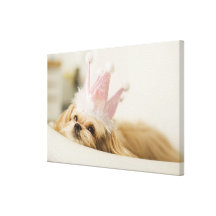 Dog with a crown stretched canvas print