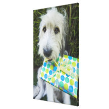 Dog with gift in mouth stretched canvas prints