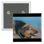 Doggy pose buttons