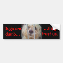 Dogs Are Dumb Bumper Stickers