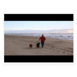 Dogs best friend post cards