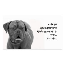 Dogue de Bordeaux business card