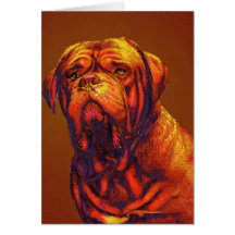 dogue de bordeaux card
