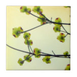 Dogwood Blossoms Ceramic Tile