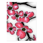 dogwood postcards