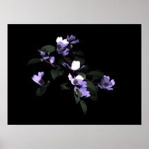Dogwood Print