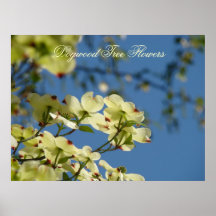 Dogwood Tree Flowers art prints Blue Sky Landscape