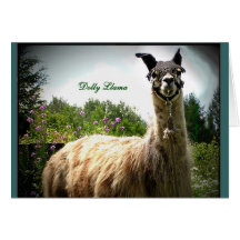 Dolly Llama Notecards