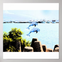 dolphin5apen posters