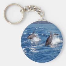 Dolphin Adventure Keychains