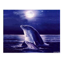 Dolphin and Baby Post Card