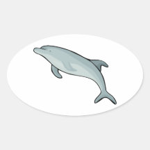 Dolphin Dolphins Marine Mammals Blue Fish Animal Sticker