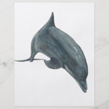 Dolphin Flyer Design