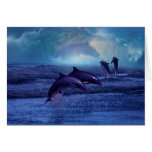 Dolphin fun and play greeting card