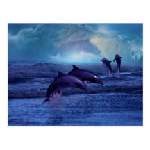 Dolphin fun and play post card