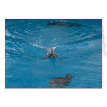 Dolphin Greeting Cards