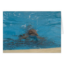 Dolphin Greeting Cards