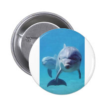 dolphin II Pinback Button