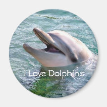 Dolphin Magnet