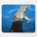 Dolphin Mouse Pads