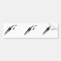 Dolphin Painting Bumper Stickers